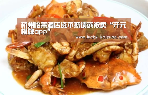 杭州怡莱酒店资不抵债或被卖“开元棋牌app”(图4) 开元棋牌app