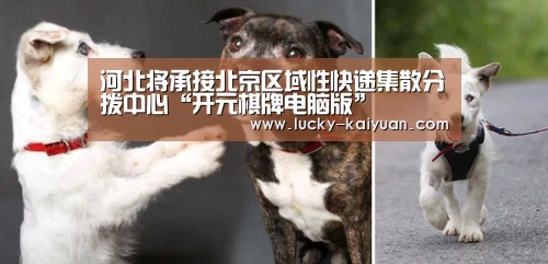 河北将承接北京区域性快递集散分拨中心“开元棋牌电脑版”(图2) 开云棋牌