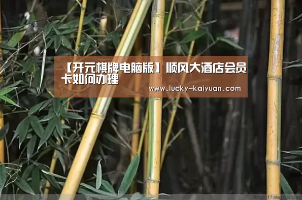 【开元棋牌电脑版】顺风大酒店会员卡如何办理(图4) 开元棋牌app