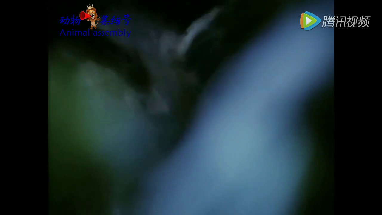 开元棋牌下载-麦当劳出售黄油牛奶脆皮鸡(图3) 开元棋牌下载