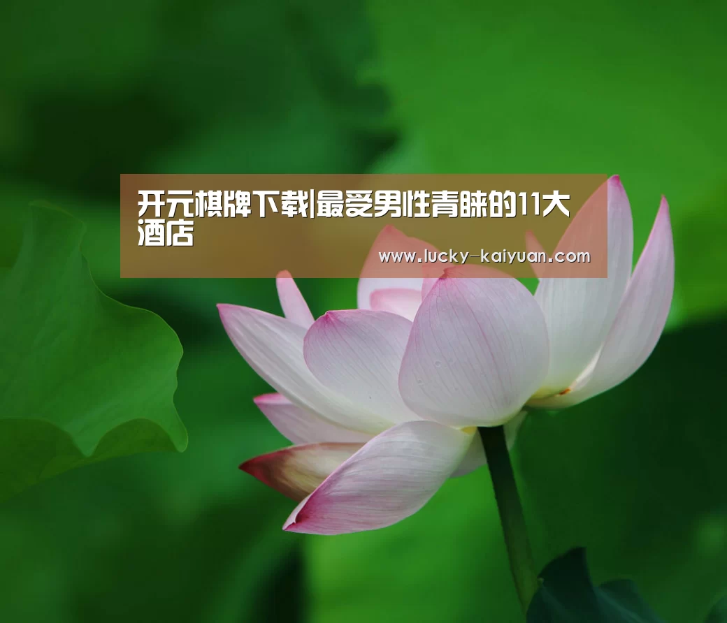 开元棋牌下载|最受男性青睐的11大酒店(图1) 开元棋牌电脑版